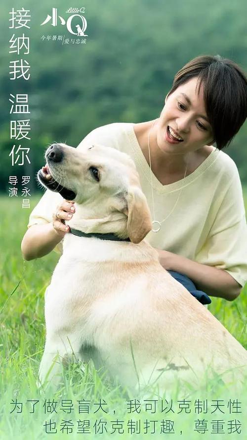 购买假曼彻斯特城市学院文凭毕业证